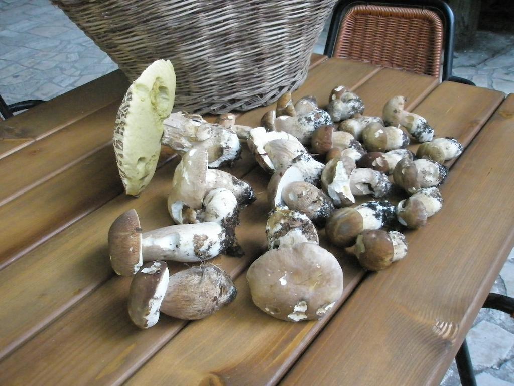 Albergo Ristorante Montecucco Da Tobia Sigillo ภายนอก รูปภาพ