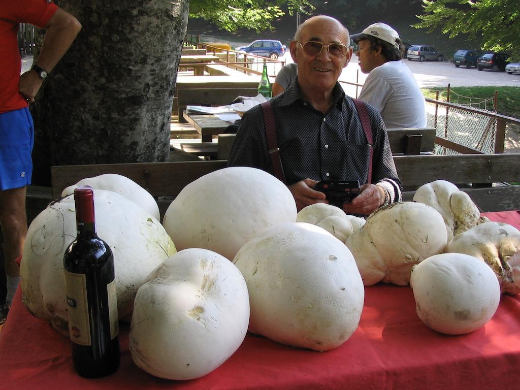 Albergo Ristorante Montecucco Da Tobia Sigillo ภายนอก รูปภาพ
